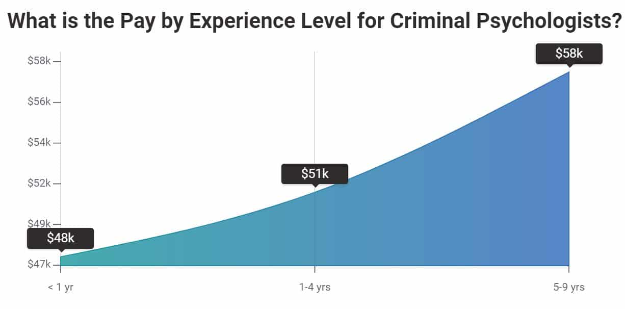 How-To-Become-A-Criminal-Psychologist-experience