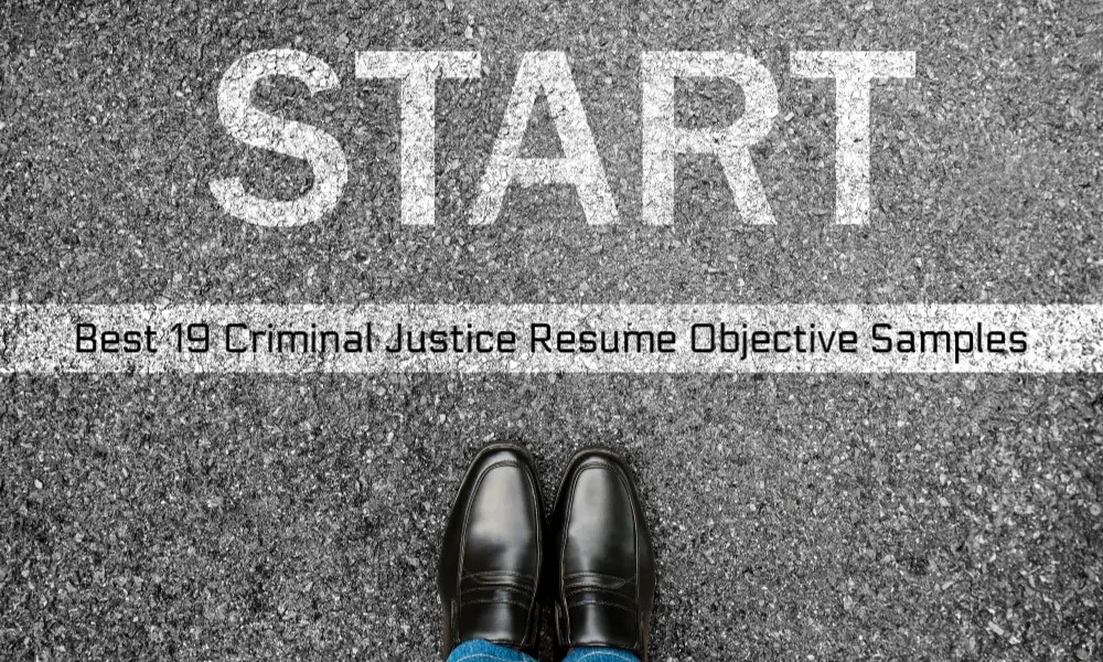 Criminal Justice Resume Objective Best 19 Resume Objective Samples