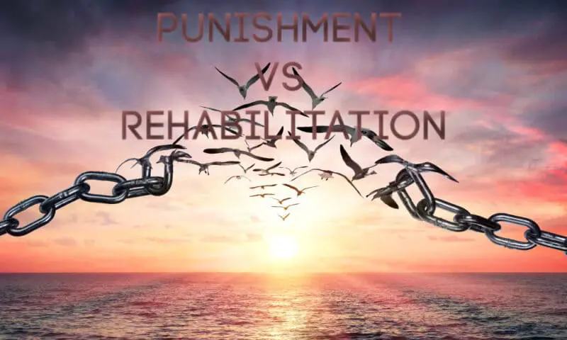 punishment-vs-rehabilitation-in-the-criminal-justice-system-pros-cons