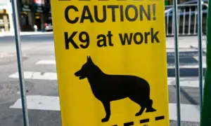 k-9-unit