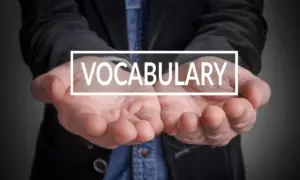 law-enforcement-vocabulary
