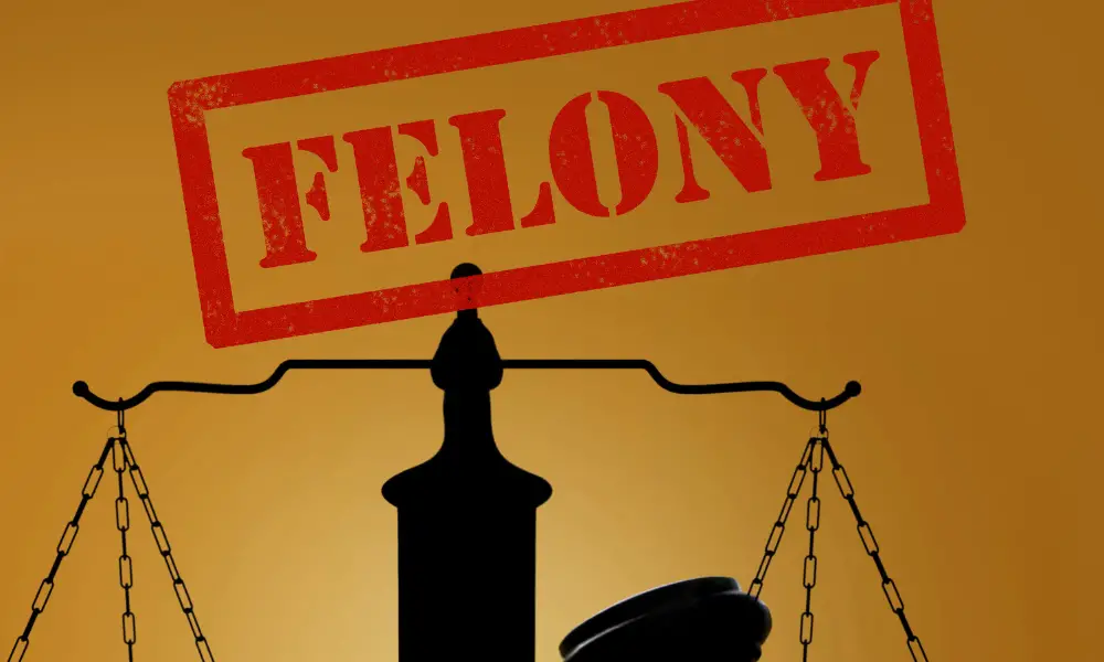 can-you-become-a-police-officer-with-a-felony-cj-us-jobs